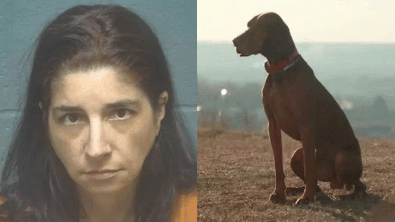 Mujer de Oklahoma arrestada por abuso sexual de un animal y distribución de material obsceno