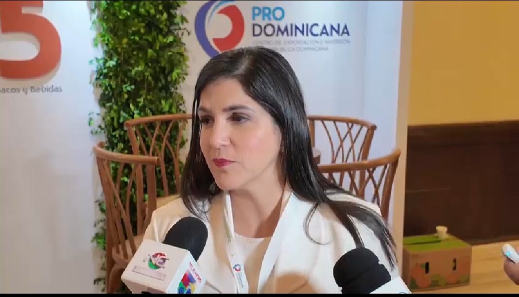 ProDominicana: Comercio con Haití no ha mermado pese a crisis, pero hay que diversificar